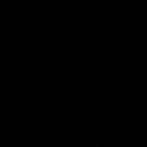 Meet your Posher, Arnie